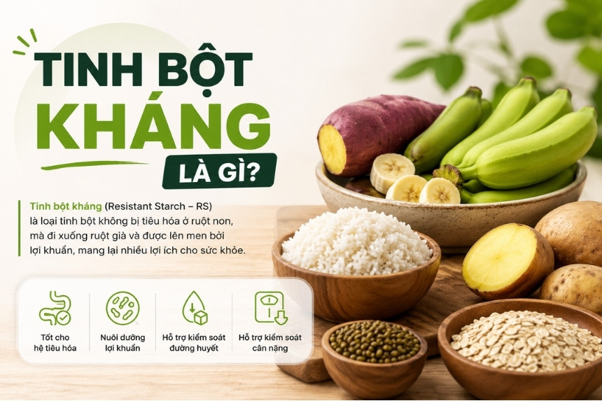 tinh-bot-khang-la-gi-cover