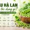 Đậu Hà Lan Có Tác Dụng Gì? 10 Lợi Ích Tuyệt Vời Cho Sức Khỏe Ít Người Biết