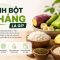 Tinh Bột Kháng Là Gì? Lợi Ích Vàng Cho Hệ Tiêu Hóa Và Sức Khỏe Toàn Diện